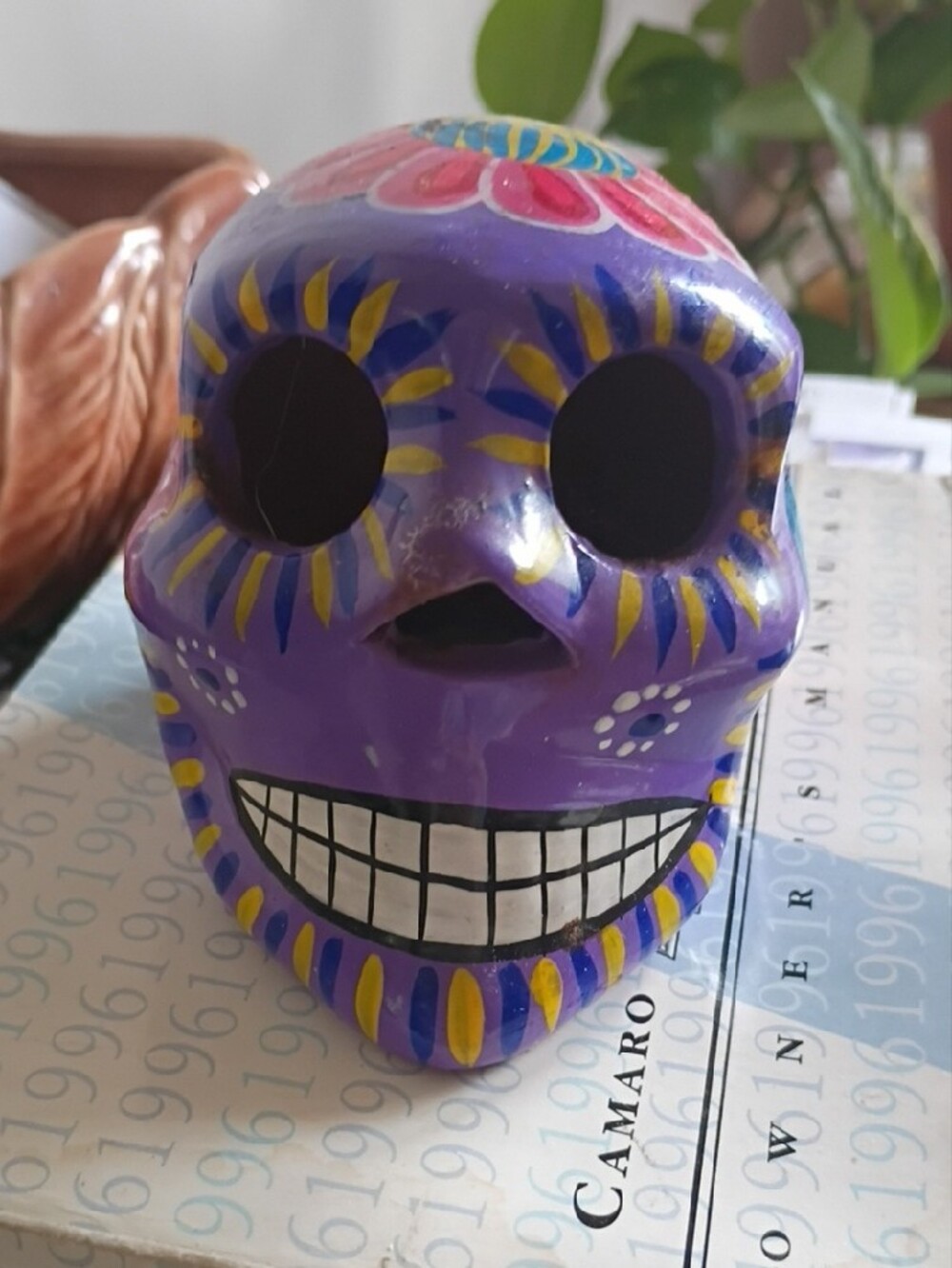 Scull Colorful